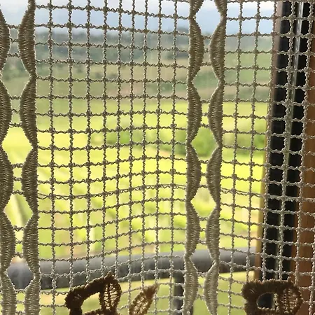 Genius Loci Country *