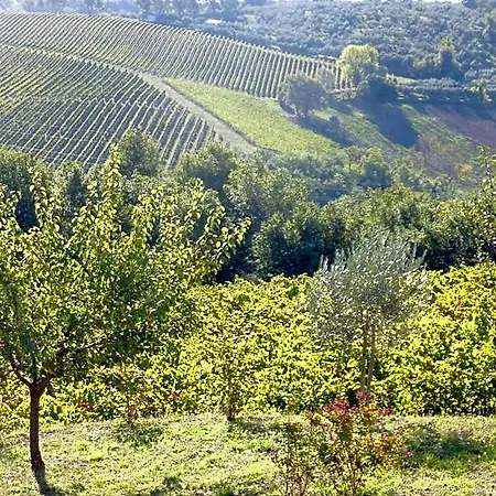 Genius Loci Country Bevagna