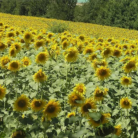 Séjour à la campagne Genius Loci Country Bevagna