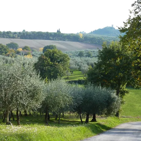 Genius Loci Country *