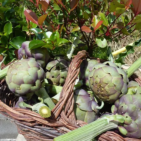 Genius Loci Country *