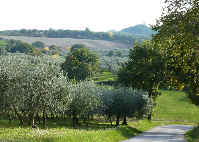 Genius Loci Country *